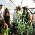 college permaculture
